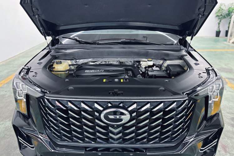 Used GAC Trumpchi GS8 2022 Linghang Series 2.0 TGDI Two-Wheel-Drive Luxury Smart Connectivity Version (7 Seats)