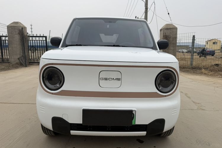 Used Geely Galaxy Panda 2024 Panda Mini 200km Endurance Bear