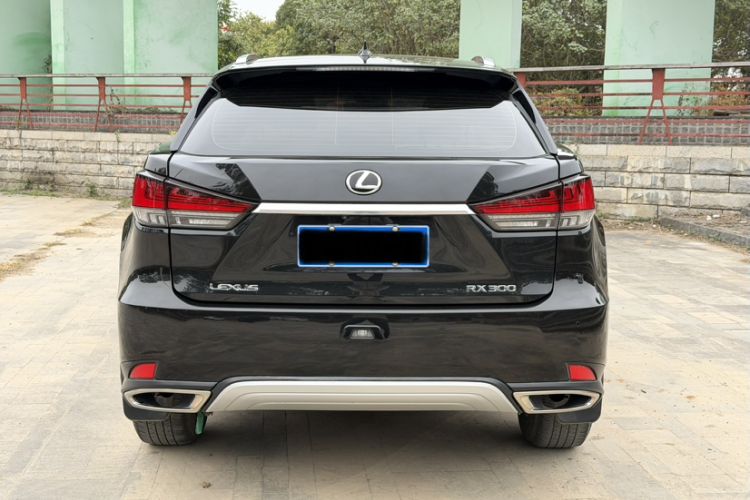 Used Lexus RX 2020 Revised Version 300 Two-Wheel Drive Comfort Edition