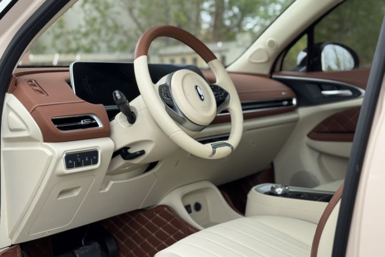 Used ORA Good Cat 2021 400km Standard Range Venus Edition Lithium Iron Phosphate