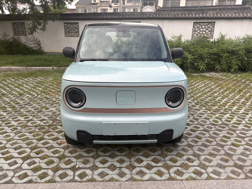 Geely Galaxy Panda 2023 Panda Mini 200km Dynamic Bear — снимка 12