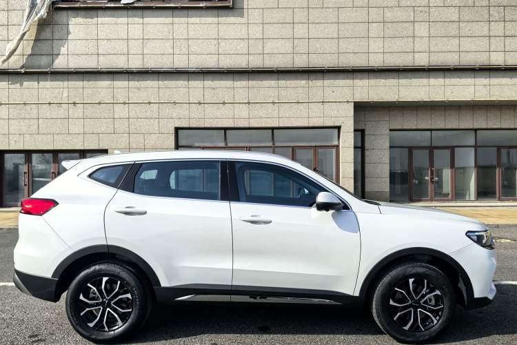 Used Haval H6 2023 National Trend Edition 1.5T Automatic Urban Version Exterior 3