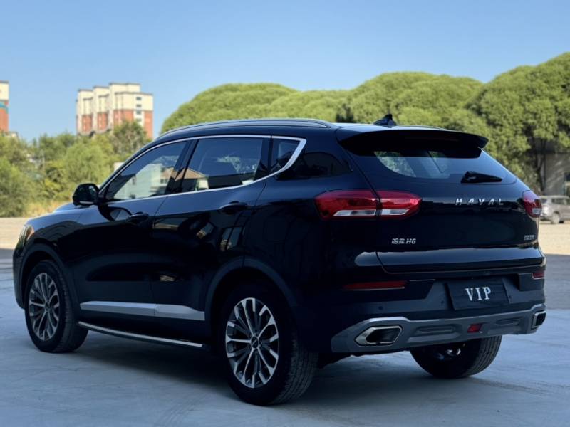 Used Haval H6 2020 1.5 GDIT Automatic Platinum Champion Edition — 6