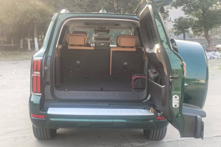 Used Tank 500 New Energy 2026 Model—Hi4-Z Smart Enjoyment Version