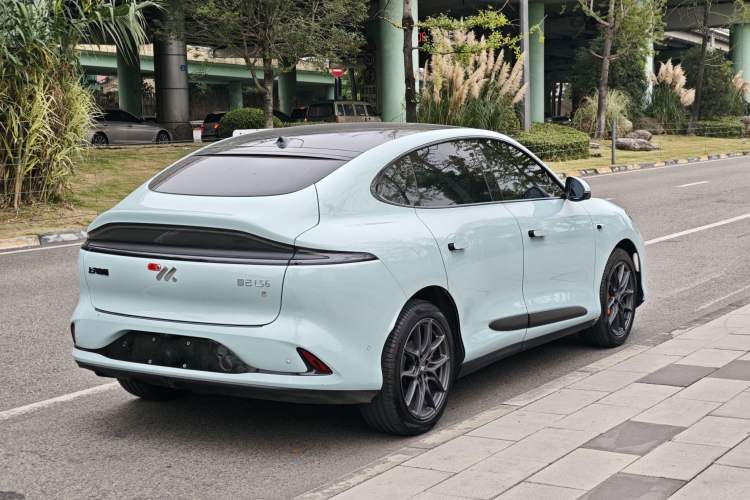 Used IM LS6 2023 Max Long-Range Version