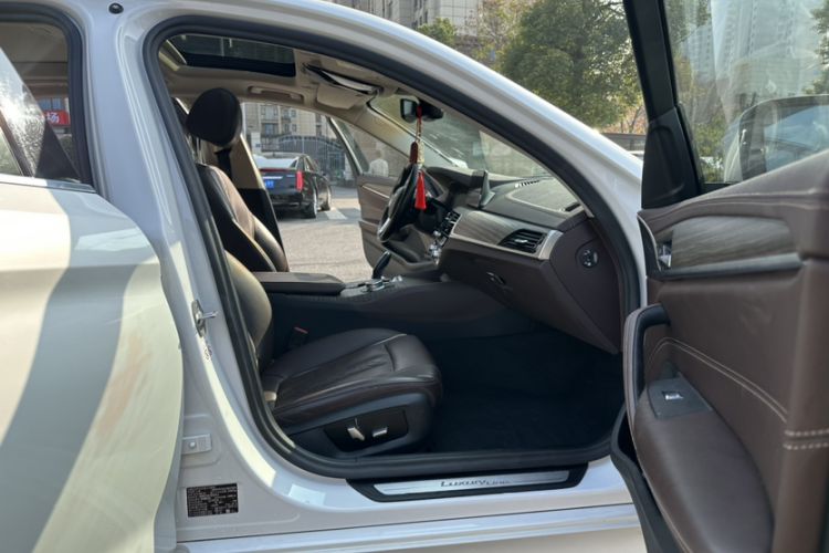 Used BMW 5 Series New Energy 2020 530Le Luxury Package
