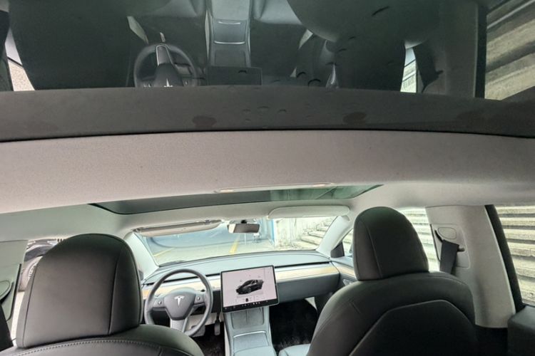 Used Tesla Model 3 2022 Rear-Wheel-Drive Version Headliner