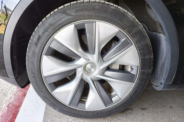 Used Tesla Model Y 2022 Revised Version Rear-Wheel Drive Exterior 5