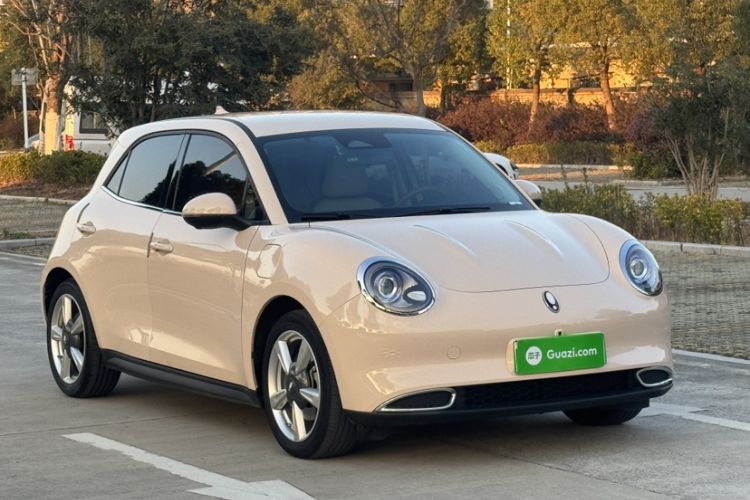 Used ORA Good Cat 2023 401 km Standard Range Luxury Version Lithium Iron Phosphate
