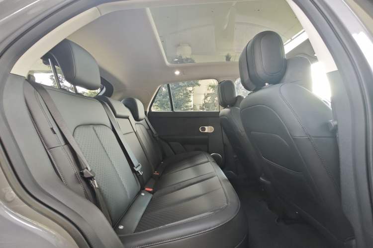 Used firefly 2025 Illuminated Edition
