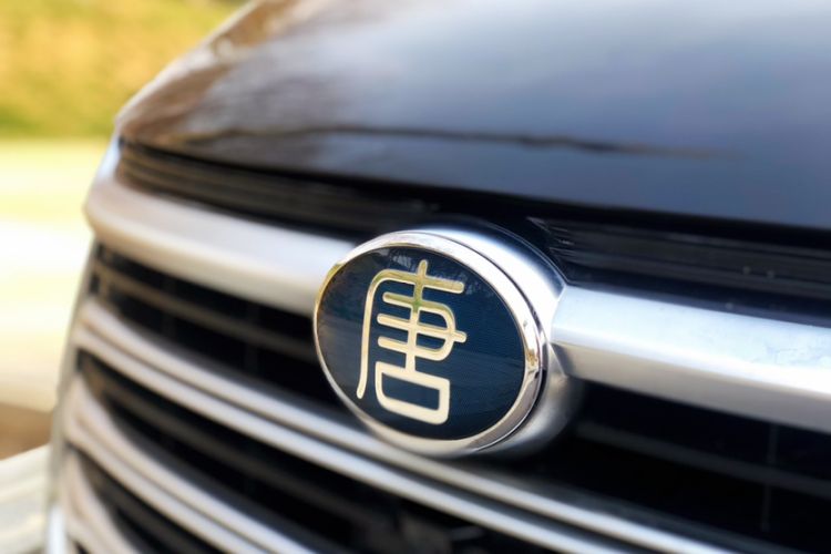 Used BYD Tang New Energy 2023 DM-i Champion Edition 112KM Prestige Model
