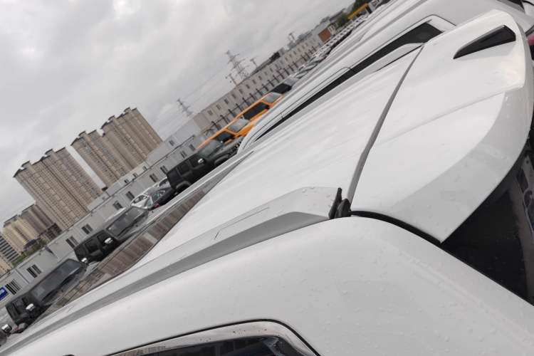 Used BAIC Off-Road BJ60 2022 2.0T Version 11 Five Seats
