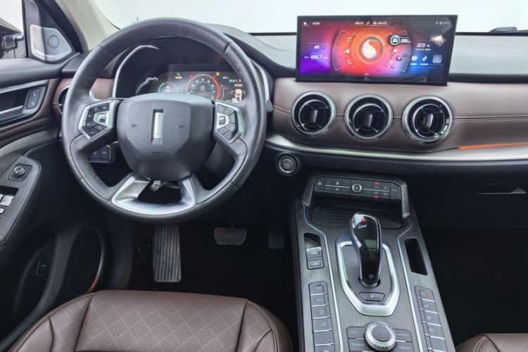 Used Wey VV6 2020 2.0T Two-Wheel Drive Zhiyue+