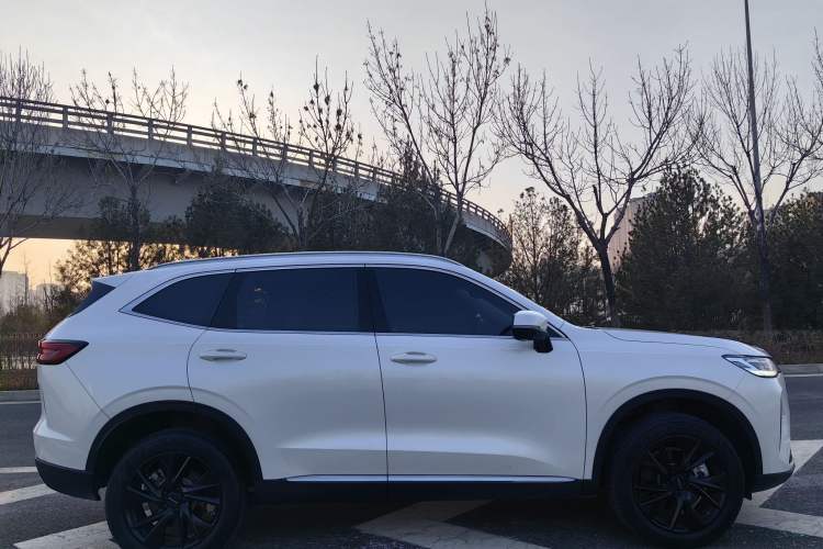 Used Haval H6 2021 3rd Generation 2.0T Automatic Two-Wheel Drive Max