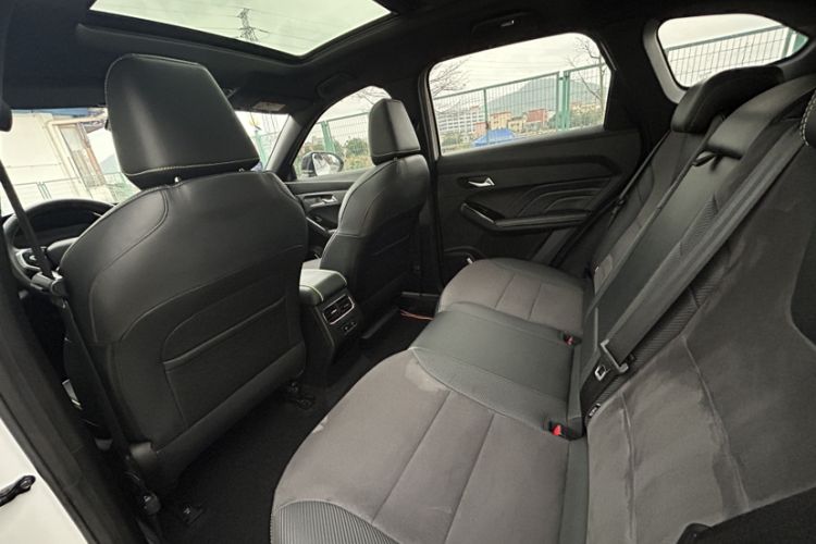 Used Haval LHERY 2021 High-Performance Version 1.5T Golden Rabbit Headliner