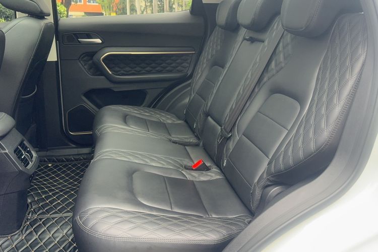 Used Haval H6 2021 1.5T Automatic Champion Edition Left Rear Seat