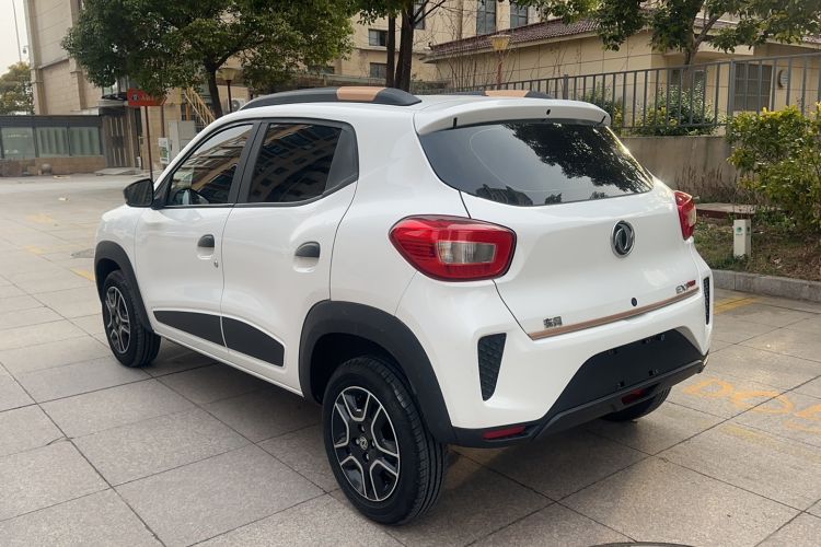 Used Dongfeng NAMMI EX1 2023 PRO Light Wind Edition Lightning Model