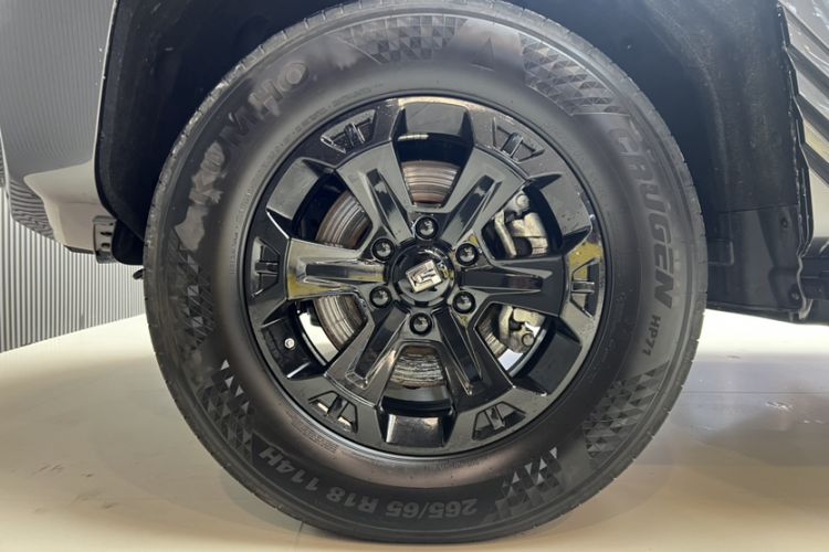 Used Tank 400 2025 2.0T Gasoline Version
