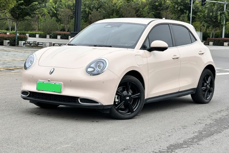 Used ORA Good Cat 2024 401 km Luxury Version 126 kW