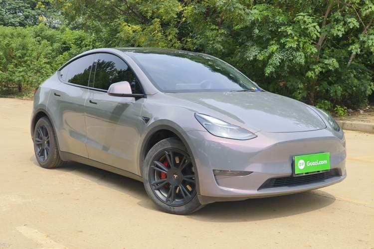 Used Tesla Model Y 2021 Standard Range Rear-Wheel Drive Version
