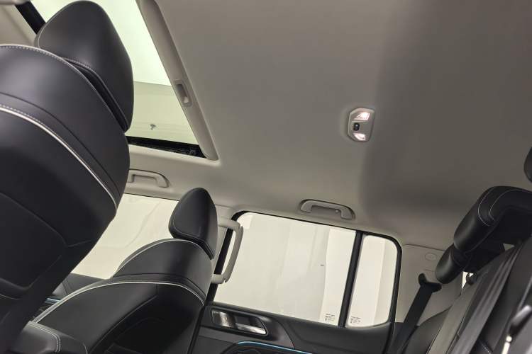 Used Tank 300 2024 2.0T Conqueror Headliner