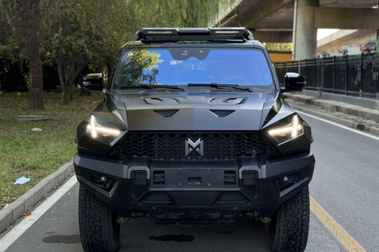 Used Brave warrior 917 2023 Pure Electric Base Model
