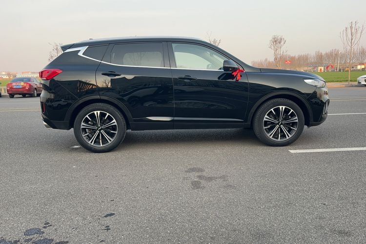 Used Wey VV6 2021 2.0T Two-Wheel Drive Smart Protection+
