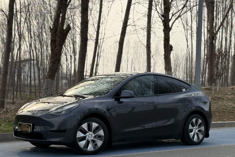 Used Tesla Model Y 2022 Revised Version Rear-Wheel Drive