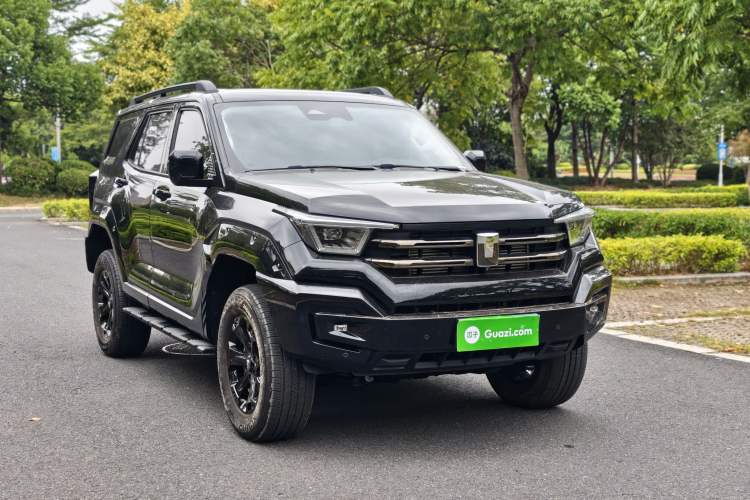 Used Tank 400 2025 2.0T Gasoline Version