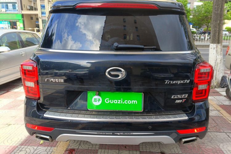 Used GAC Trumpchi GS8 2017 320T Two-Wheel Drive Luxury Smart Connectivity Version (7 Seats)