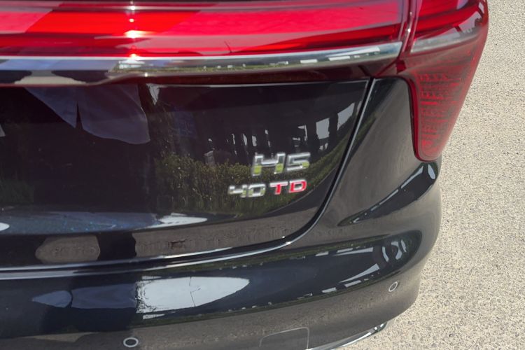 Used Hongqi H5 2025 2.0T Automatic Flag Edition – 500 000 Units Commemorative Version