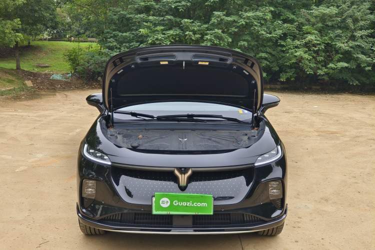 Used VOYAH COURAGE 2024 Four-Wheel Drive Global Edition