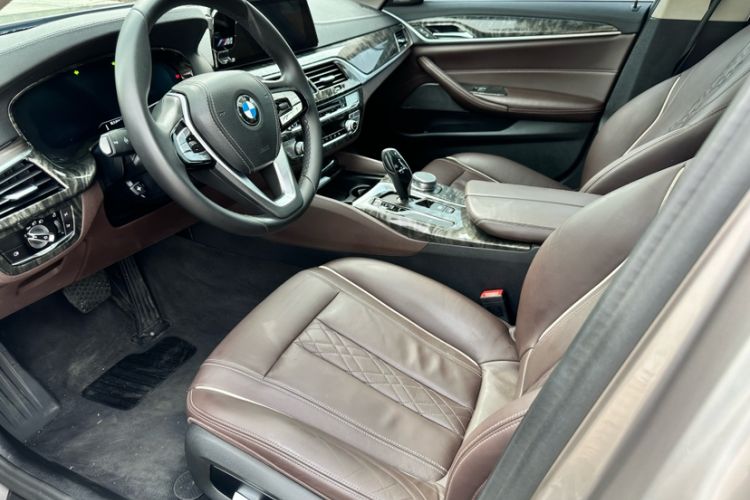 Used BMW 5 Series 2019 Facelifted 530Li Leading Edition Luxury Package
