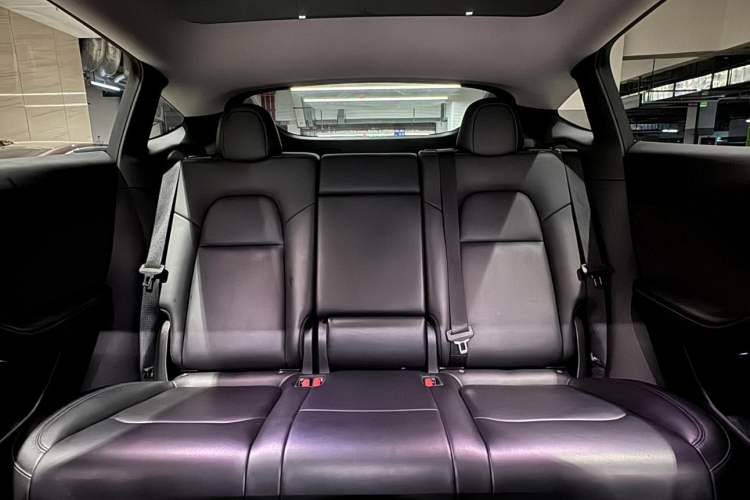 Used Tesla Model Y 2021 Standard Range Rear-Wheel Drive Version