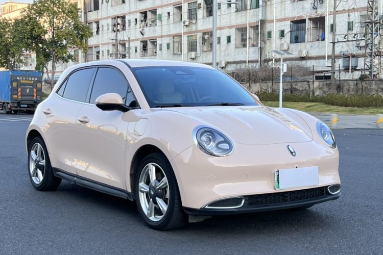 Used ORA Good Cat 2023 401 km Standard Range Luxury Version Lithium Iron Phosphate
