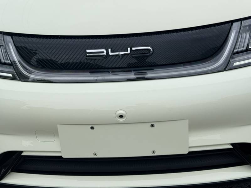 Used BYD Dolphin 2023 420 km Fashion Edition — 34