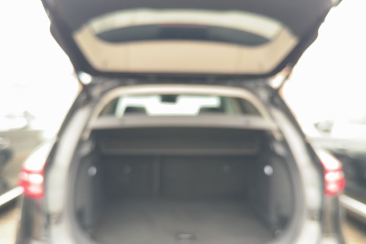 Used Hongqi HS5 2019 2.0T Smart Connect Flagship Edition
