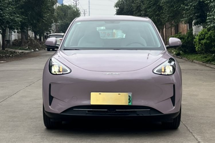 Used Geely Galaxy Geome 2025 310km Youth Edition