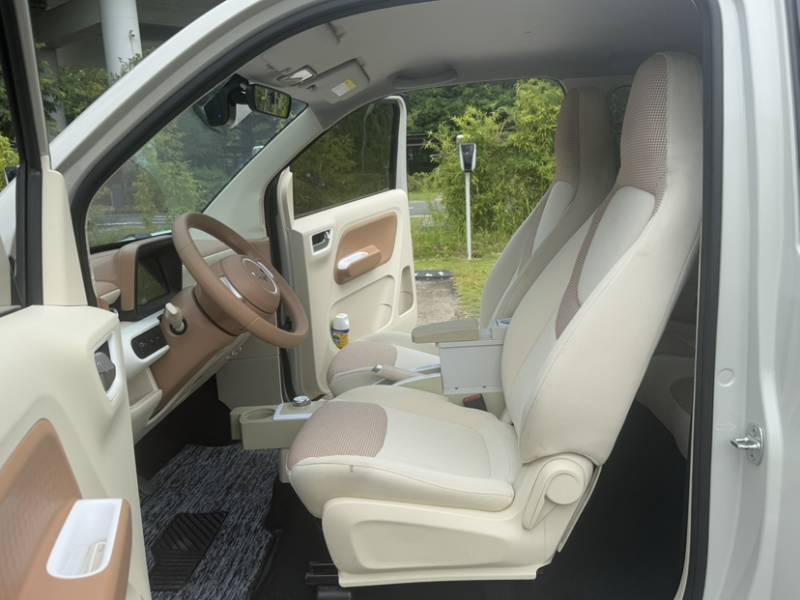 Used Wuling Hongguang MINIEV 2024 3rd Generation 215km Youth Edition — 38