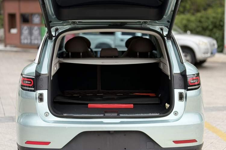 Used Leapmotor C11 2021 Performance Edition