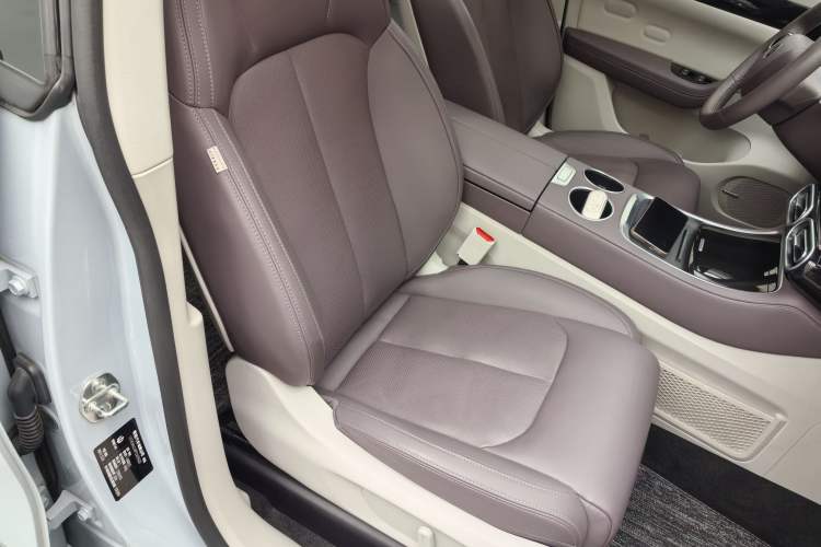 Used Leapmotor C11 2023 Pure Electric 500 Comfort Edition