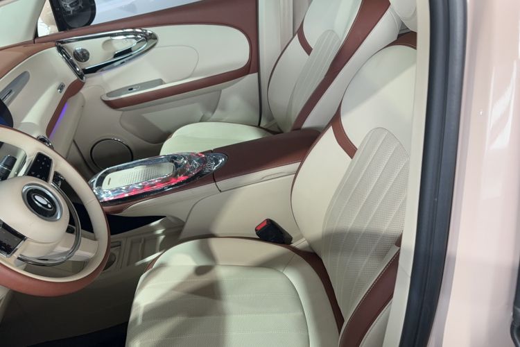 Used ORA Ballet Cat 2023 401 km Luxury Version