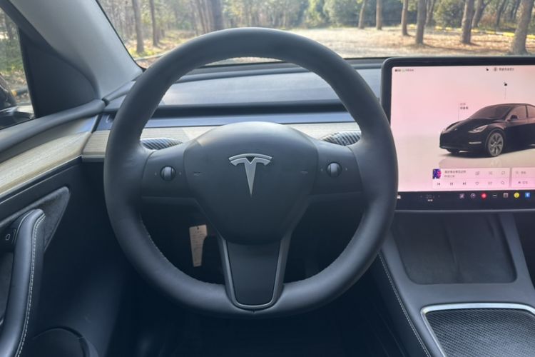 Used Tesla Model Y 2022 Revised Version Rear-Wheel Drive
