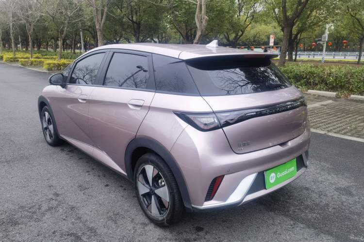 Used BYD Dolphin 2023 420 km Free Version