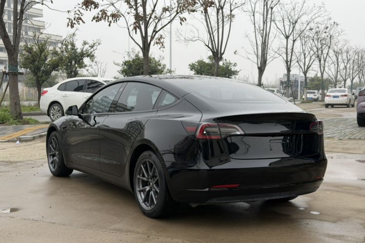 Used Tesla Model 3 2019 Standard Range Rear-Drive Upgraded Version Exterior 7