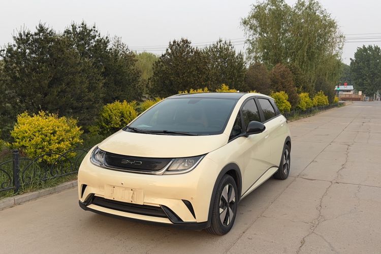 Used BYD Dolphin 2023 420 km Fashion Edition