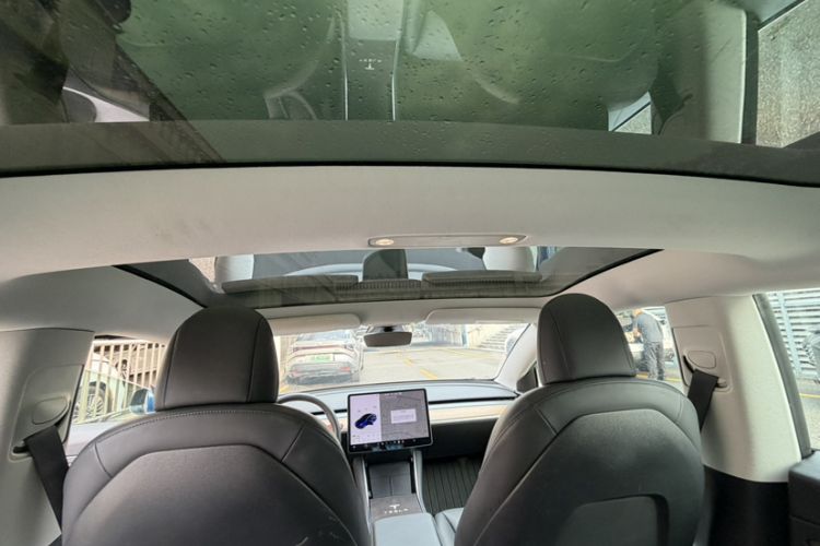 Used Tesla Model 3 2020 Revised Version Standard Range Rear-Wheel Drive – Upgraded Edition Headliner