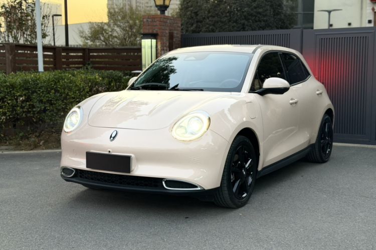 Used ORA Good Cat 2024 401 km Luxury Version