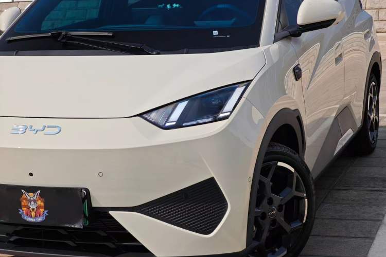 Used BYD Seagull 2025 Smart Drive Version 305 km Freedom Edition
