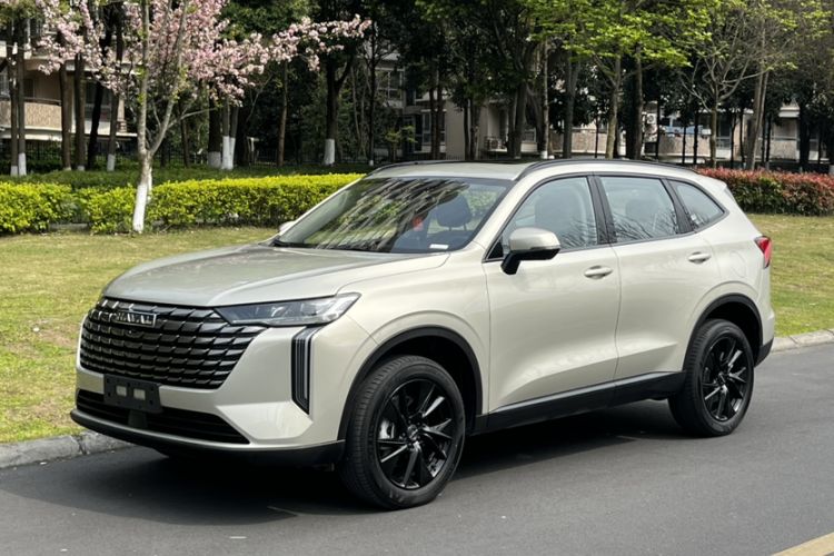 Used Haval H6 2024 1.5T Two-Wheel Drive Ultra